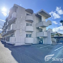ＣＡＭＥＬＬＩＡ　ＨＥＩＧＨＴＳ