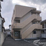 ヴィオラ