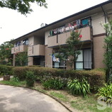 四季の杜　ミモザ館