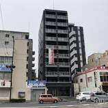ＭＡＹＦＡＩＲ　ＨＯＮＭＡＣＨＩ　ＰＲＥＭＩＵＭ